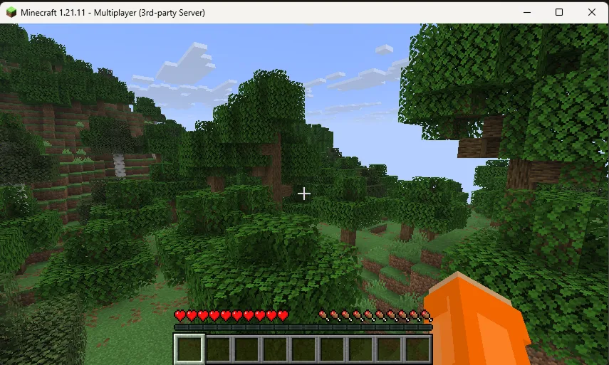 Screenshot z Minecraft serveru