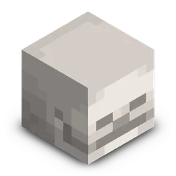 Ikona hostingového balíčku Skeleton